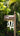 Decorative mailbox with hot air balloon design in a lush green garden setting