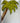 Hand-Painted Palm Tree Bracket