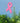 Awareness Ribbon Wall Art