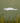 Alligator Long Wall Art