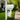 decorative bracket made from white, weather-resistant pvc in shape of a cat; bracket shown here on a mailbox post
