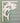 8.5 in. Tuna Decorative Bracket