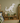 Dinosaur Wall Art