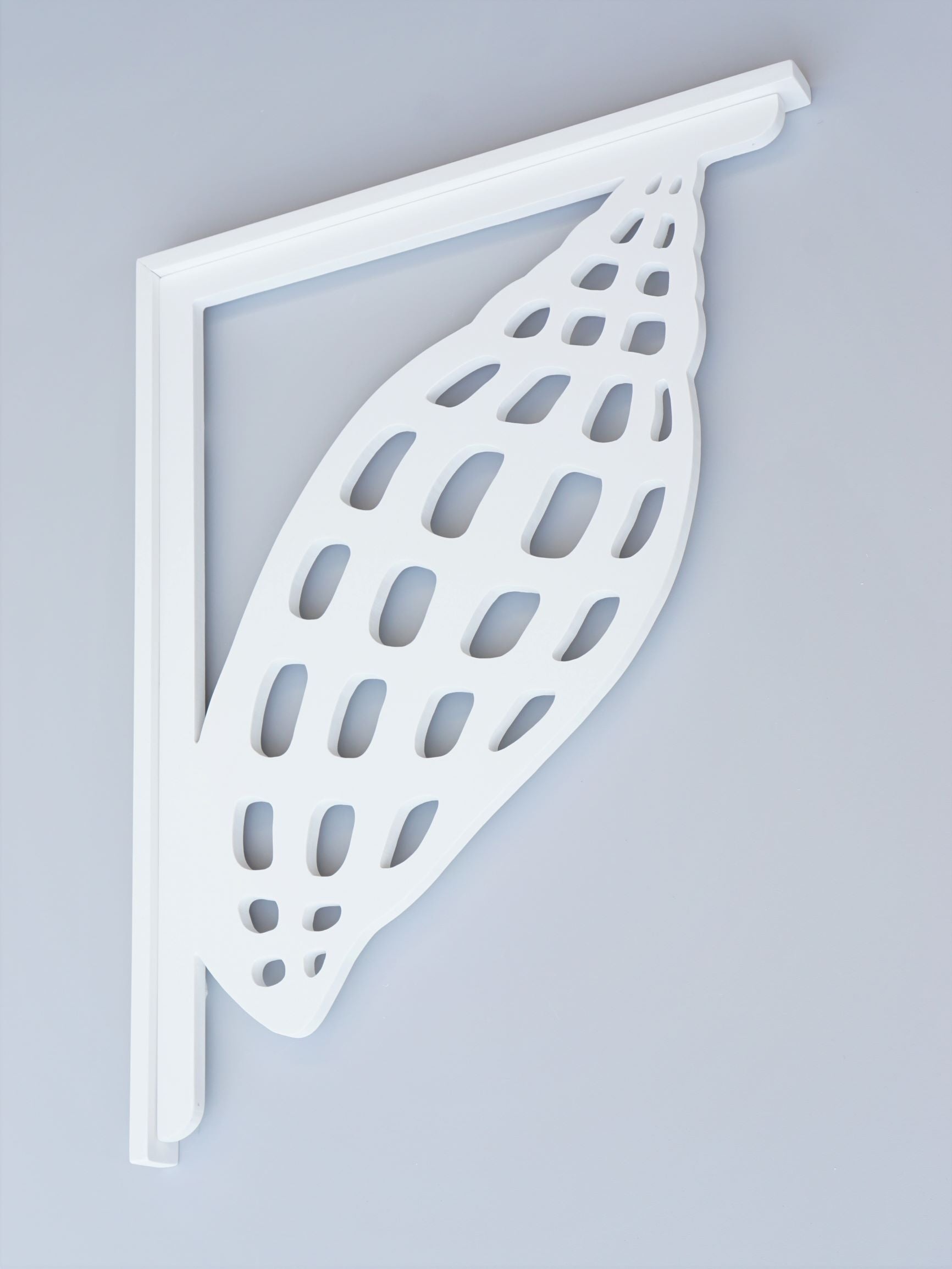 Junonia Shell Decorative Bracket – Nature Brackets