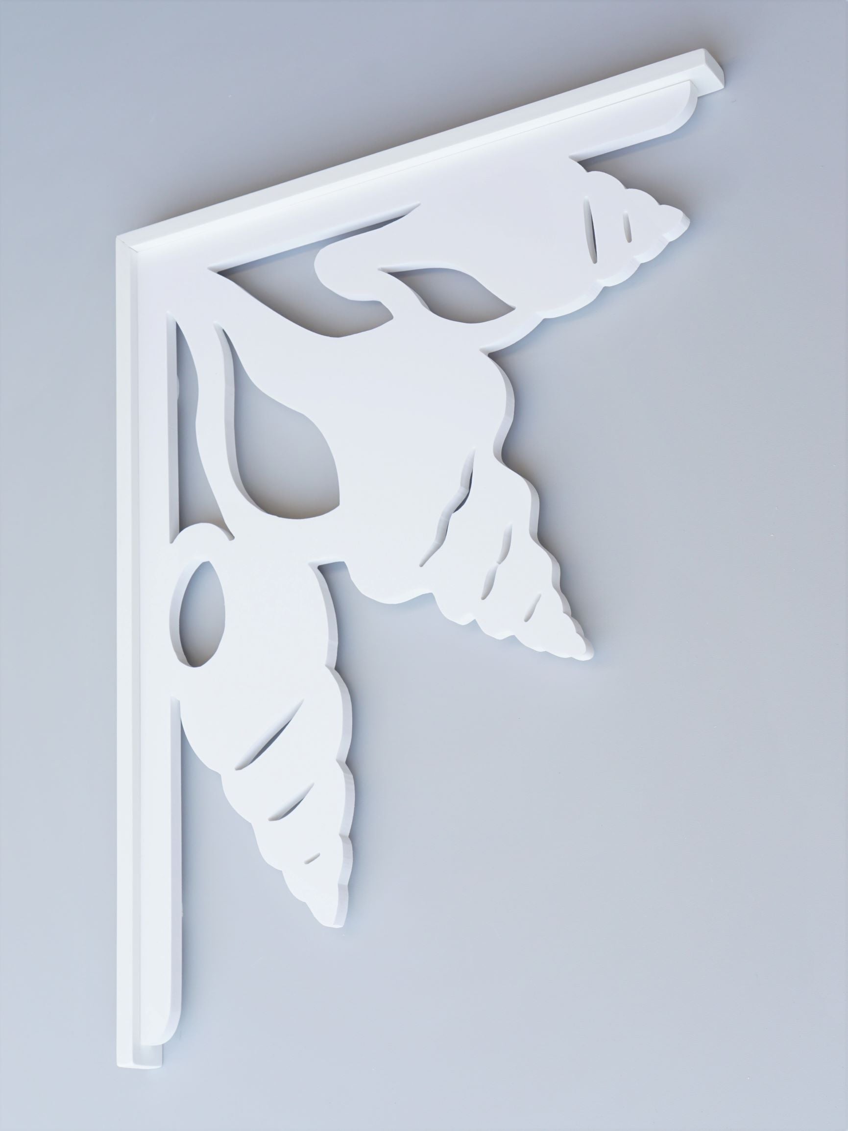 Shell Collection Decorative Bracket – Nature Brackets